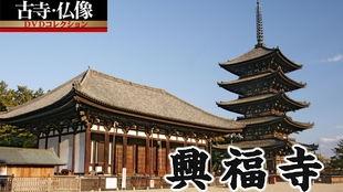 兴福寺今日头条最新,探寻千年古刹的传承与创新