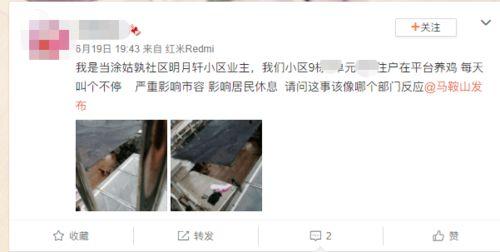 爆料养鸡套路视频播放网站,视频网站爆光惊人内幕